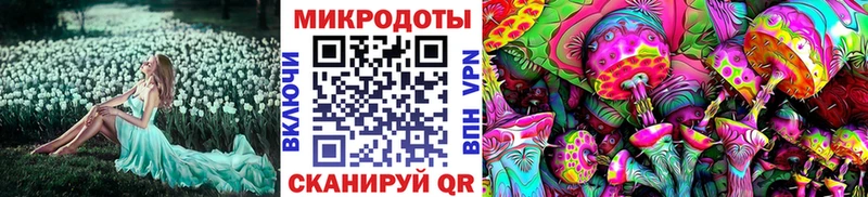 где купить наркоту  Новороссийск  Галлюциногенные грибы MAGIC MUSHROOMS 