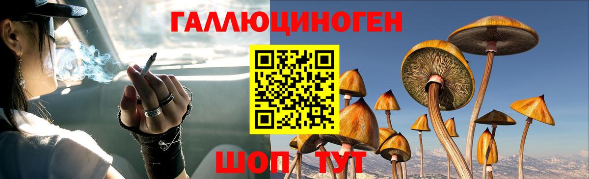 Новороссийск  Псилоцибиновые грибы MAGIC MUSHROOMS  Вход с VPN 