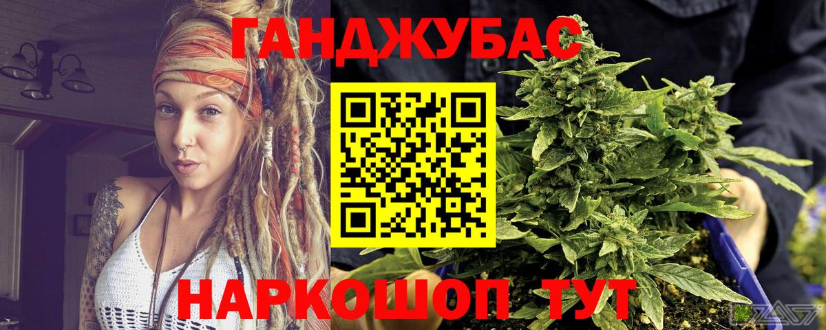 Конопля сатива Новороссийск